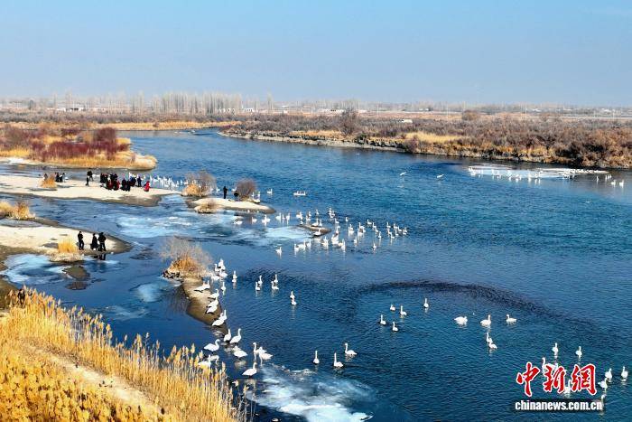 新疆“天鵝灣”旅遊熱度攀升