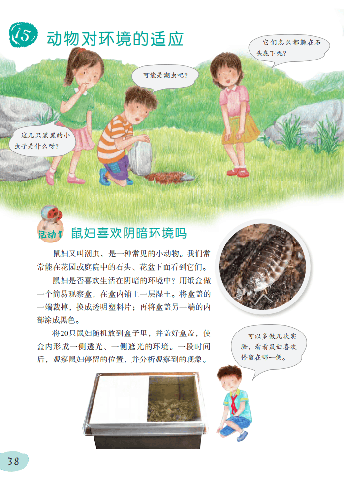 2026粵教版六年級科學下冊電子課本(PDF高畫質版新教材)