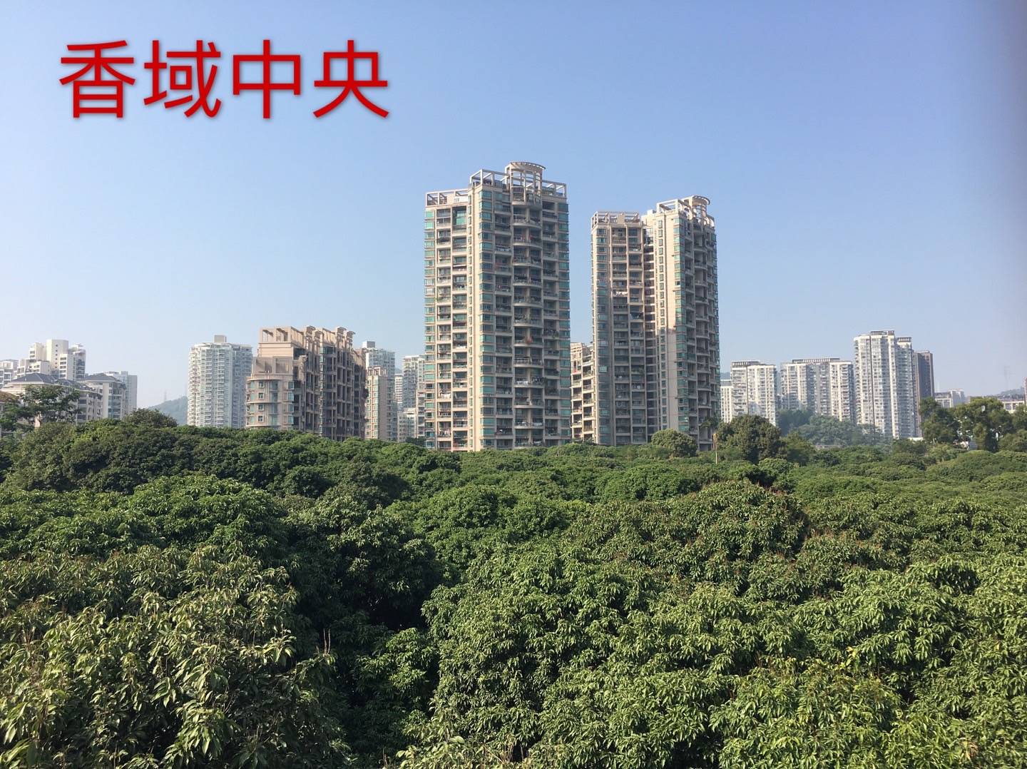 分析靠譜的天御香山花園房產銷售，分享口碑好的萬科臻山府房產銷售和推薦水榭花都房產銷售